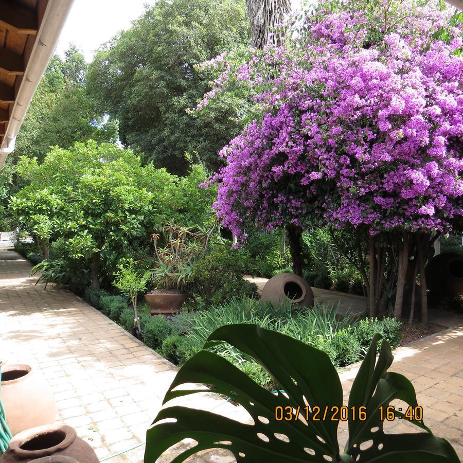 Hotel Boutique Quinta Maria Santa Cruz Eksteriør billede