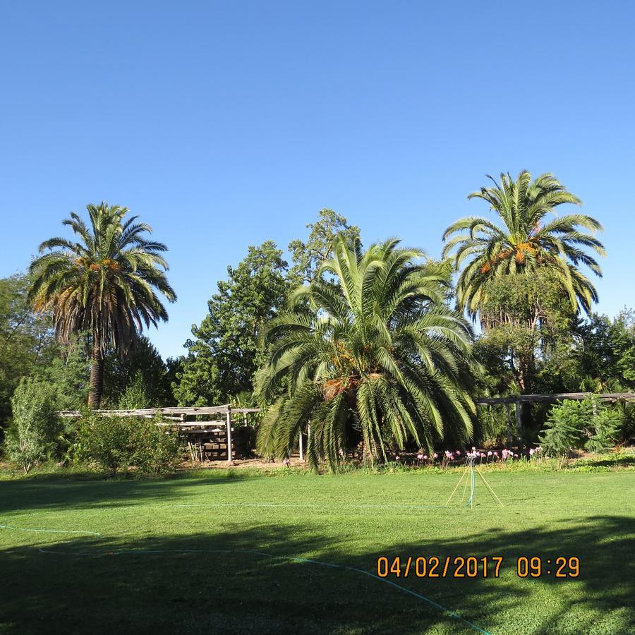 Hotel Boutique Quinta Maria Santa Cruz Eksteriør billede