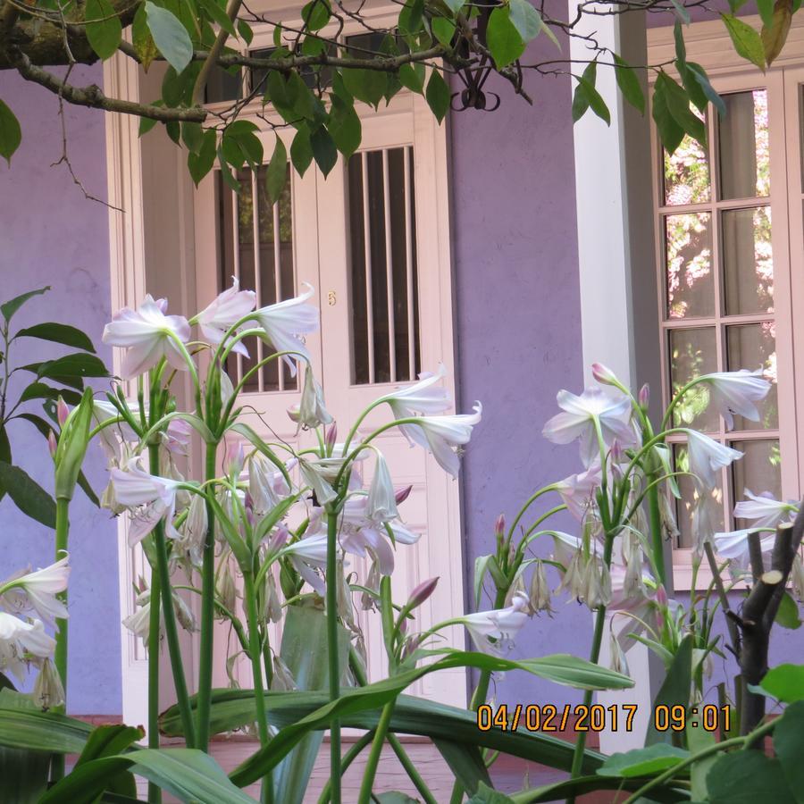 Hotel Boutique Quinta Maria Santa Cruz Eksteriør billede