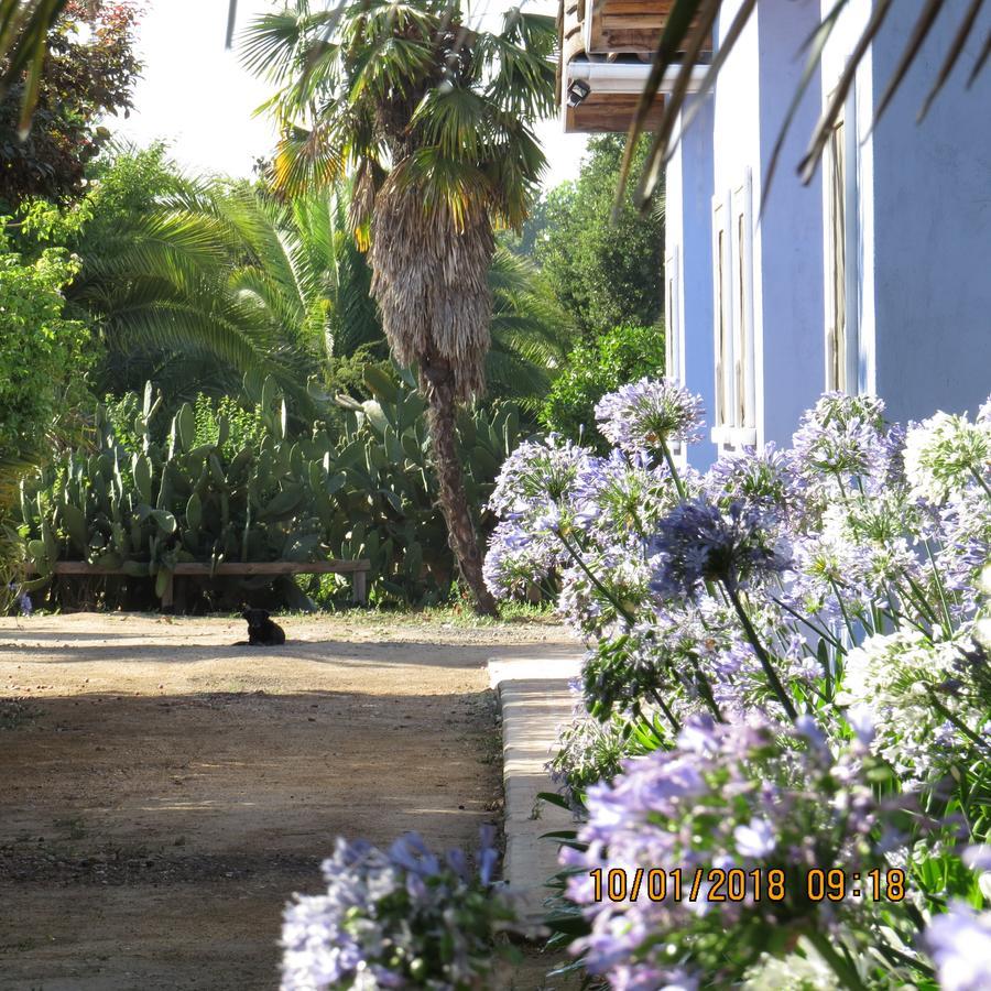 Hotel Boutique Quinta Maria Santa Cruz Eksteriør billede