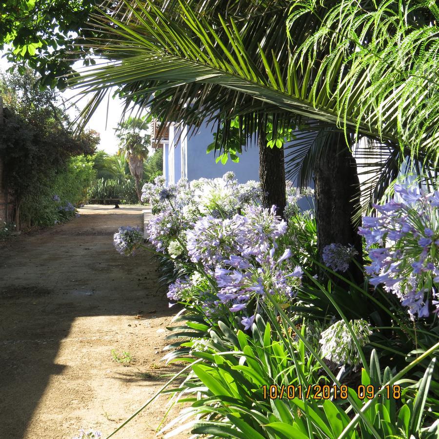 Hotel Boutique Quinta Maria Santa Cruz Eksteriør billede