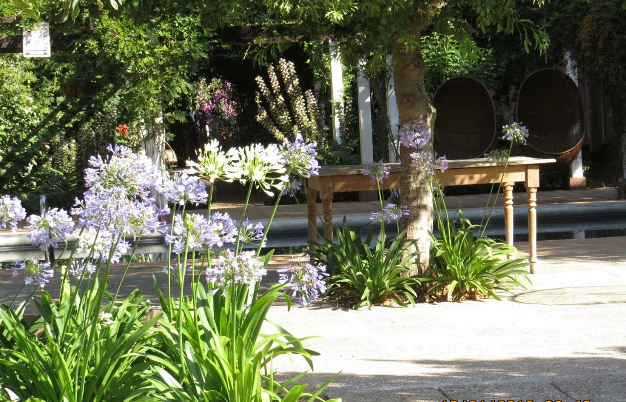 Hotel Boutique Quinta Maria Santa Cruz Eksteriør billede