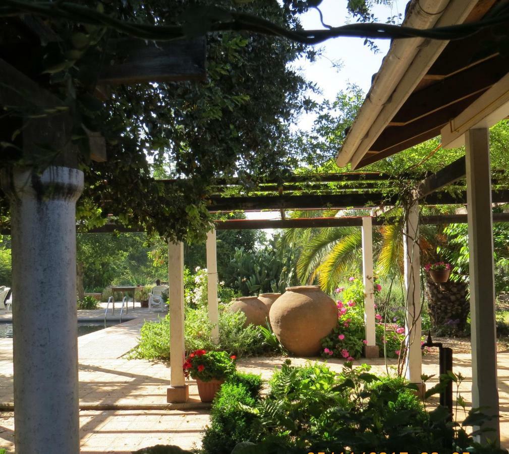 Hotel Boutique Quinta Maria Santa Cruz Eksteriør billede