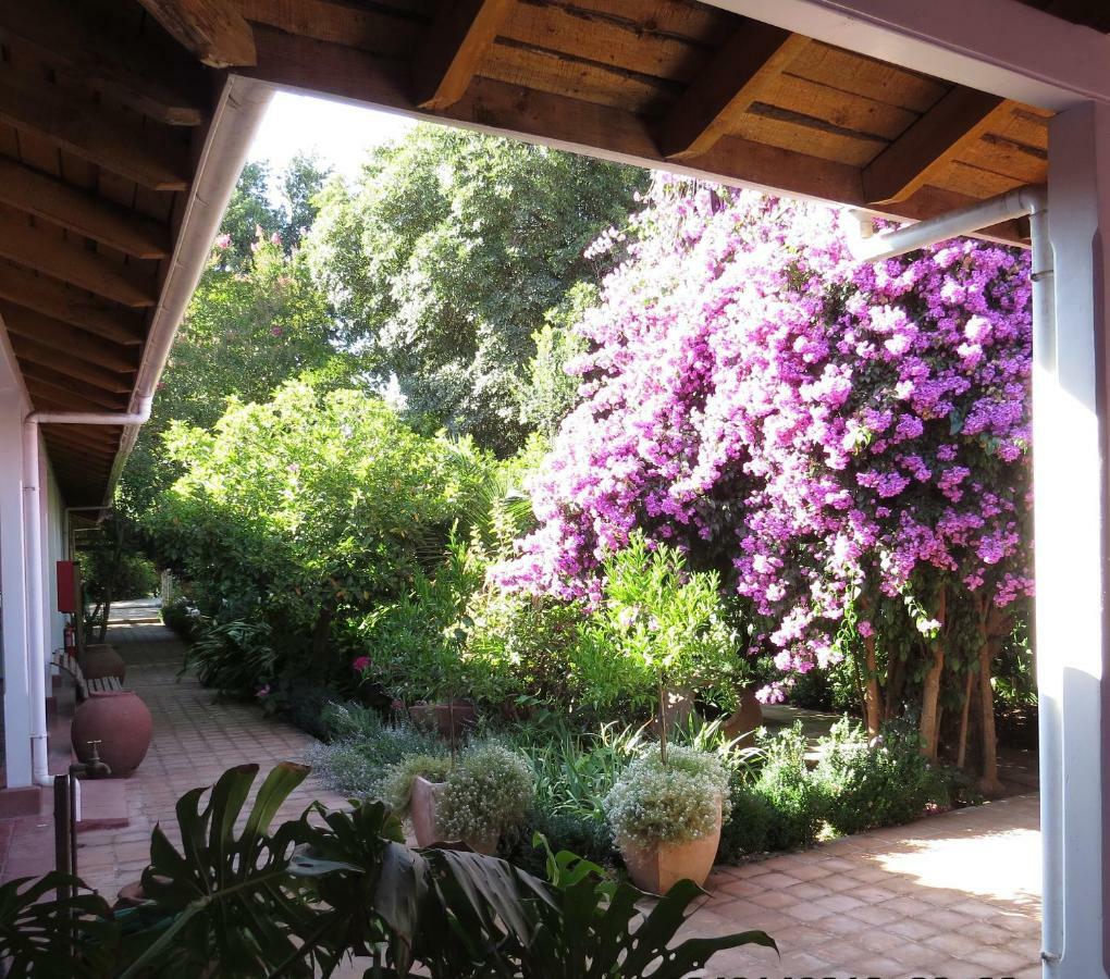 Hotel Boutique Quinta Maria Santa Cruz Eksteriør billede