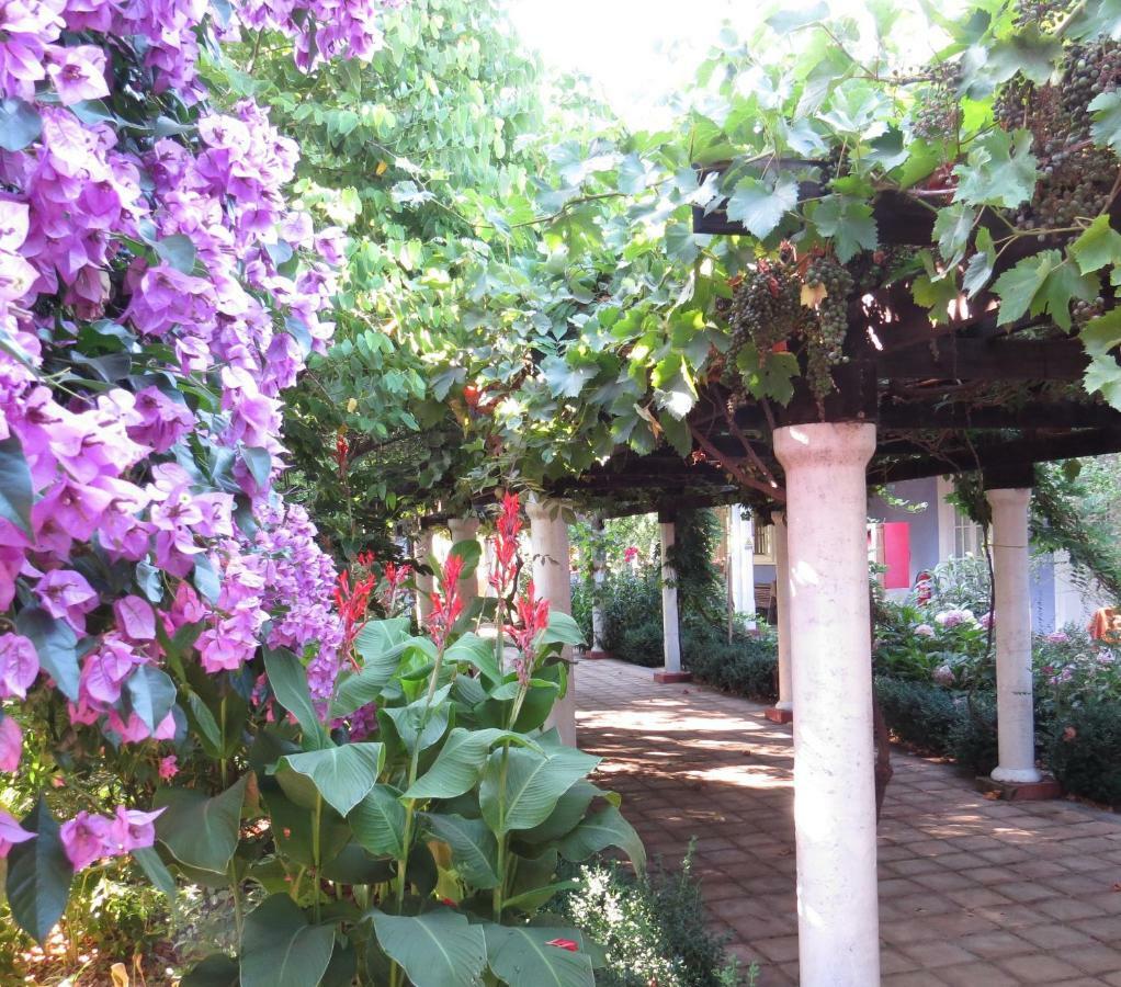 Hotel Boutique Quinta Maria Santa Cruz Eksteriør billede