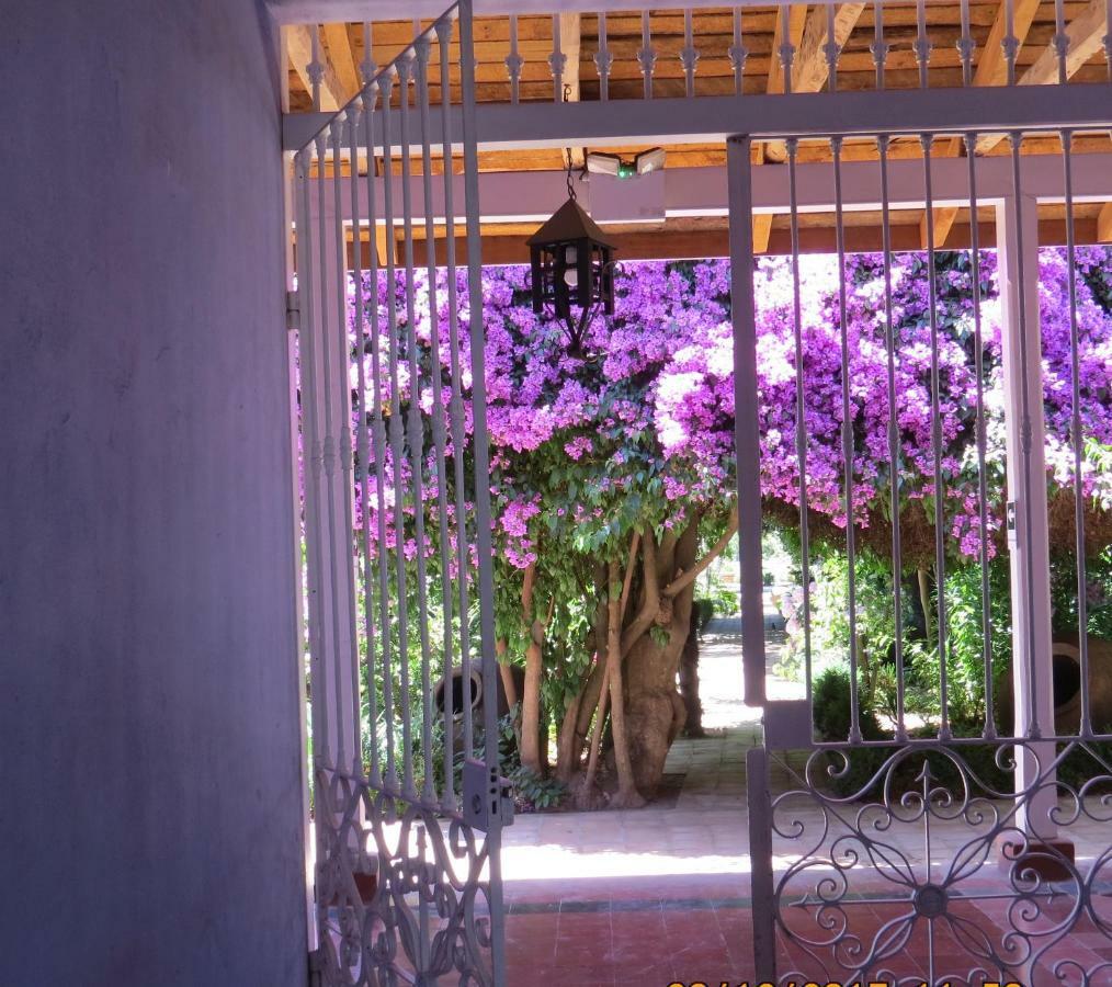 Hotel Boutique Quinta Maria Santa Cruz Eksteriør billede